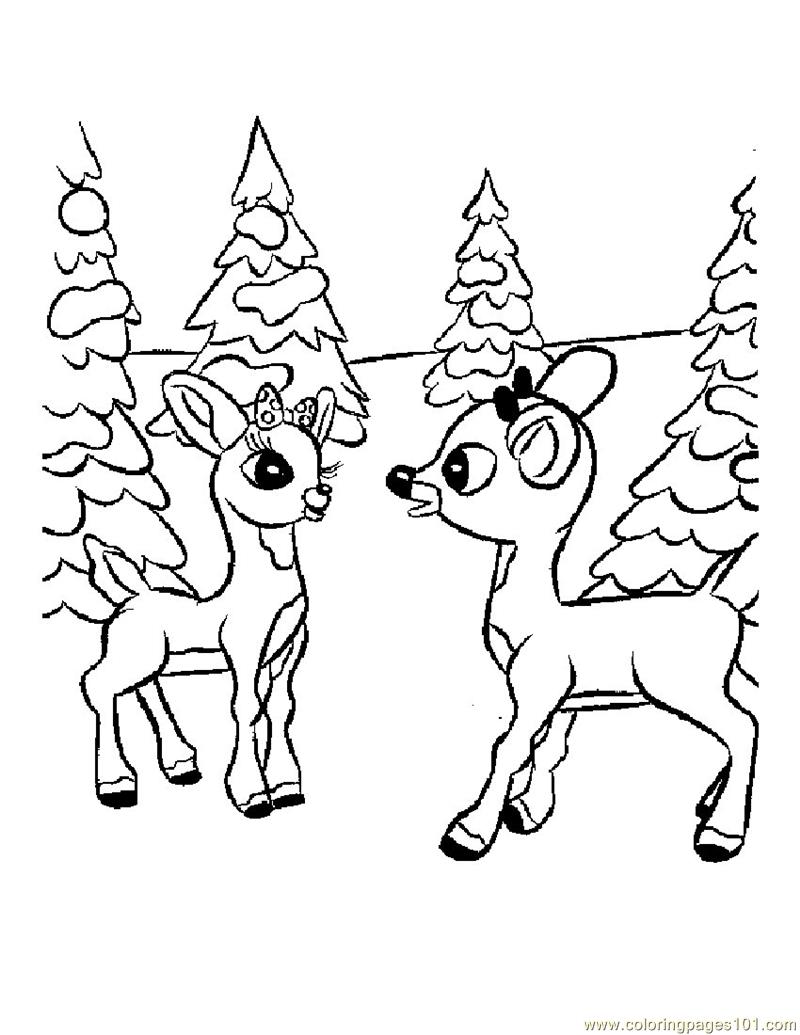 800x1035 Baby Deer Coloring Page