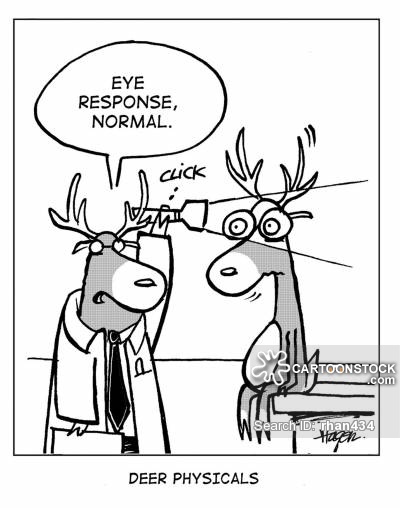 400x508 Deers Cartoons And Comics