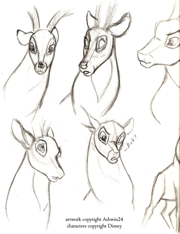 600x779 Sketchbook Disney Deer V3 By Ashwin24 On Drawing