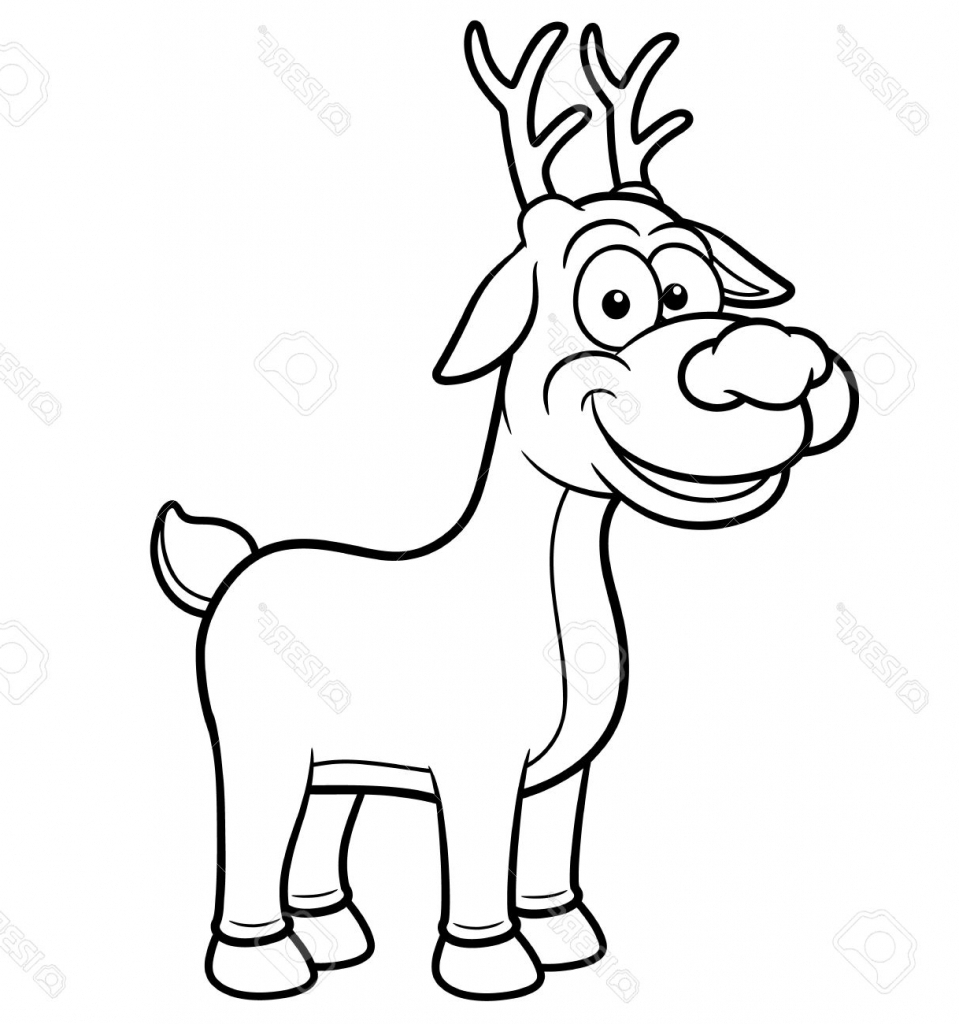 959x1024 How To Draw A Deer