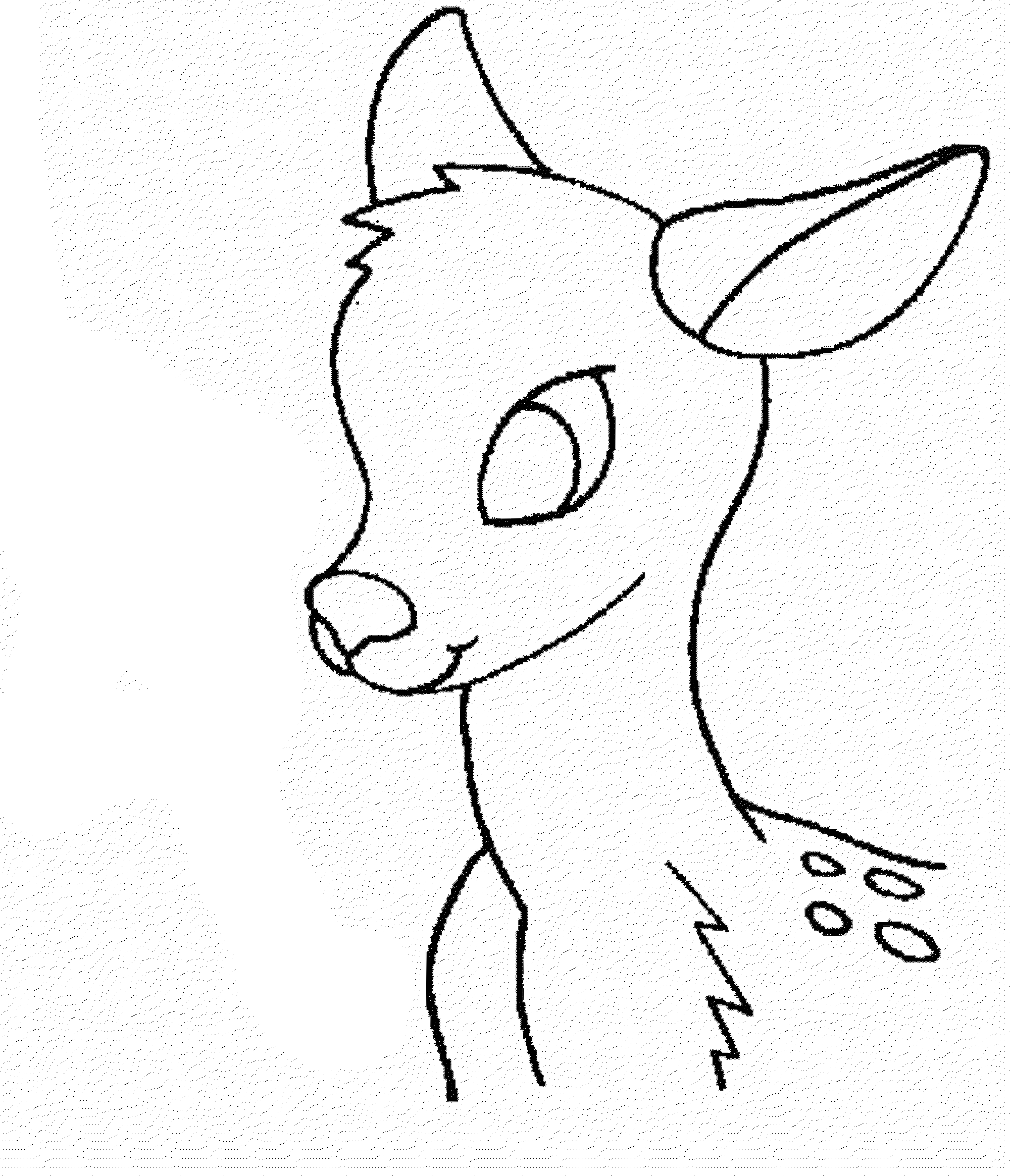 2000x2330 White Tailed Deer Coloring Pages