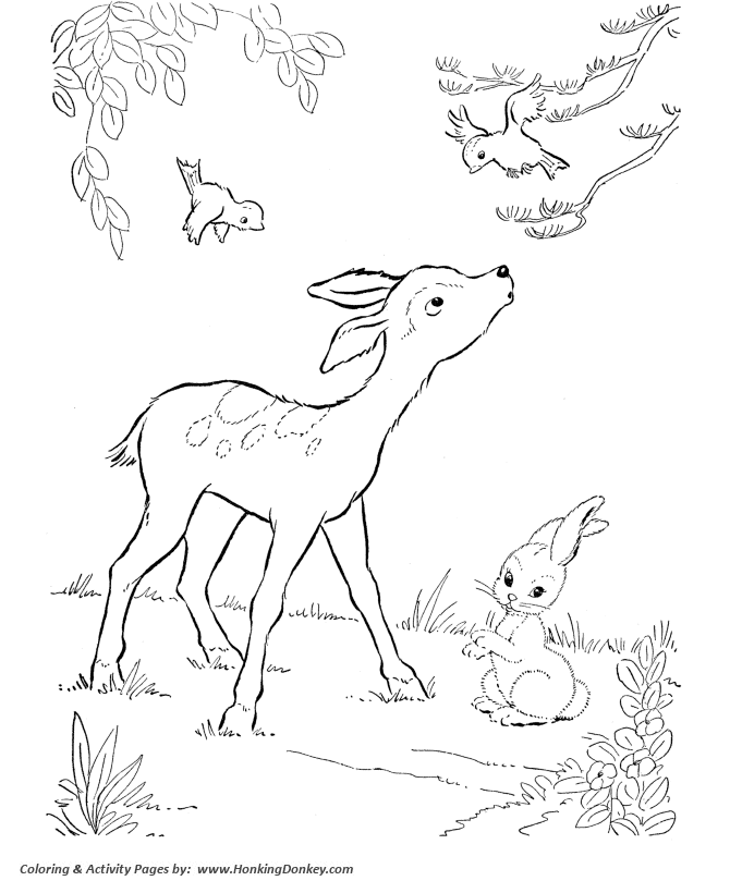 670x820 Deer Coloring Page Wild Bambi Like Deer Coloring Pages And Kids