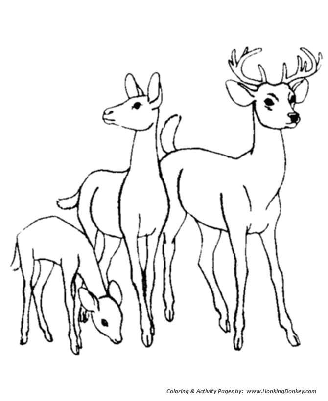 670x820 Deer Family Coloring Page Wild Animal Coloring Pages And Kids