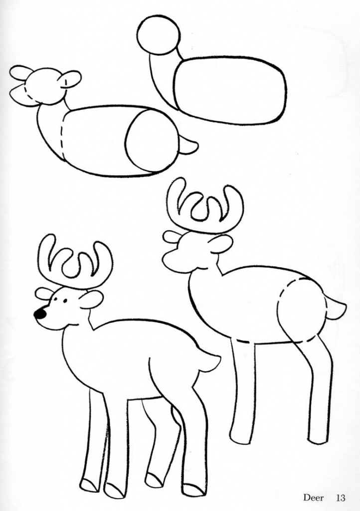 722x1024 How To Draw A Deer For Kids Images About Drawing