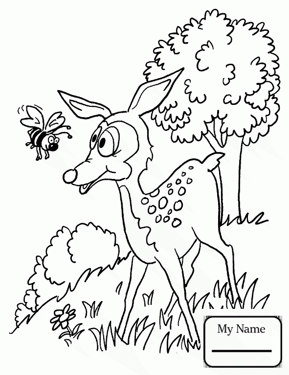 591x765 Coloring Pages For Kids Deer Illustration 2 Cartoon Deers Mammals