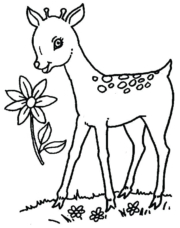 625x794 Best Of Kids N Fun Coloring Pages Or Coloring Drawings For Kids