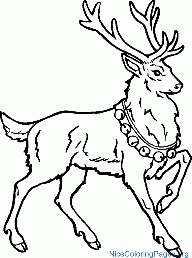 662x889 Christmas Deer Coloring Pages 10 Nice Coloring Pages For Kids