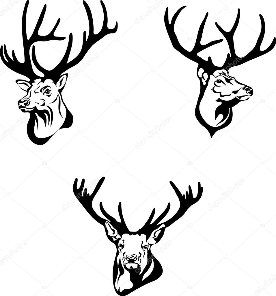 956x1023 Deer, Deer Drawing, Portrait, Vector, Illustration, Black