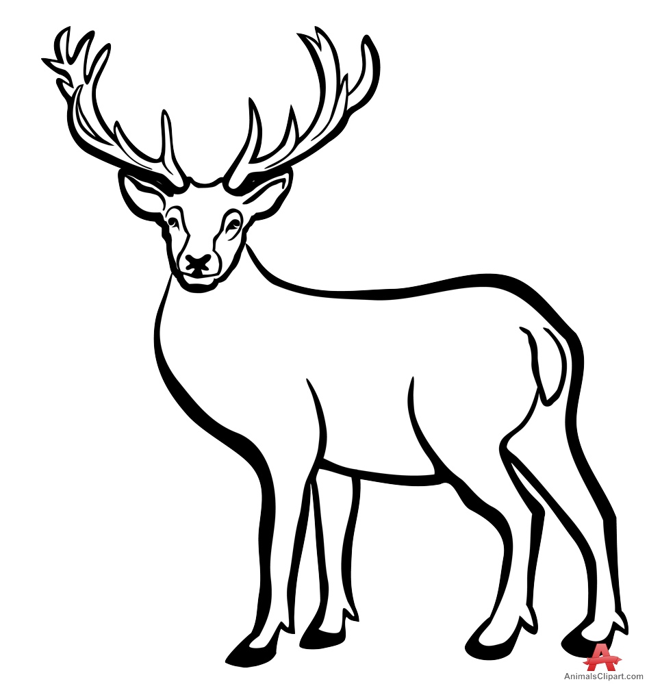 948x999 Deer Outline Drawing Deer Head Drawing Outline