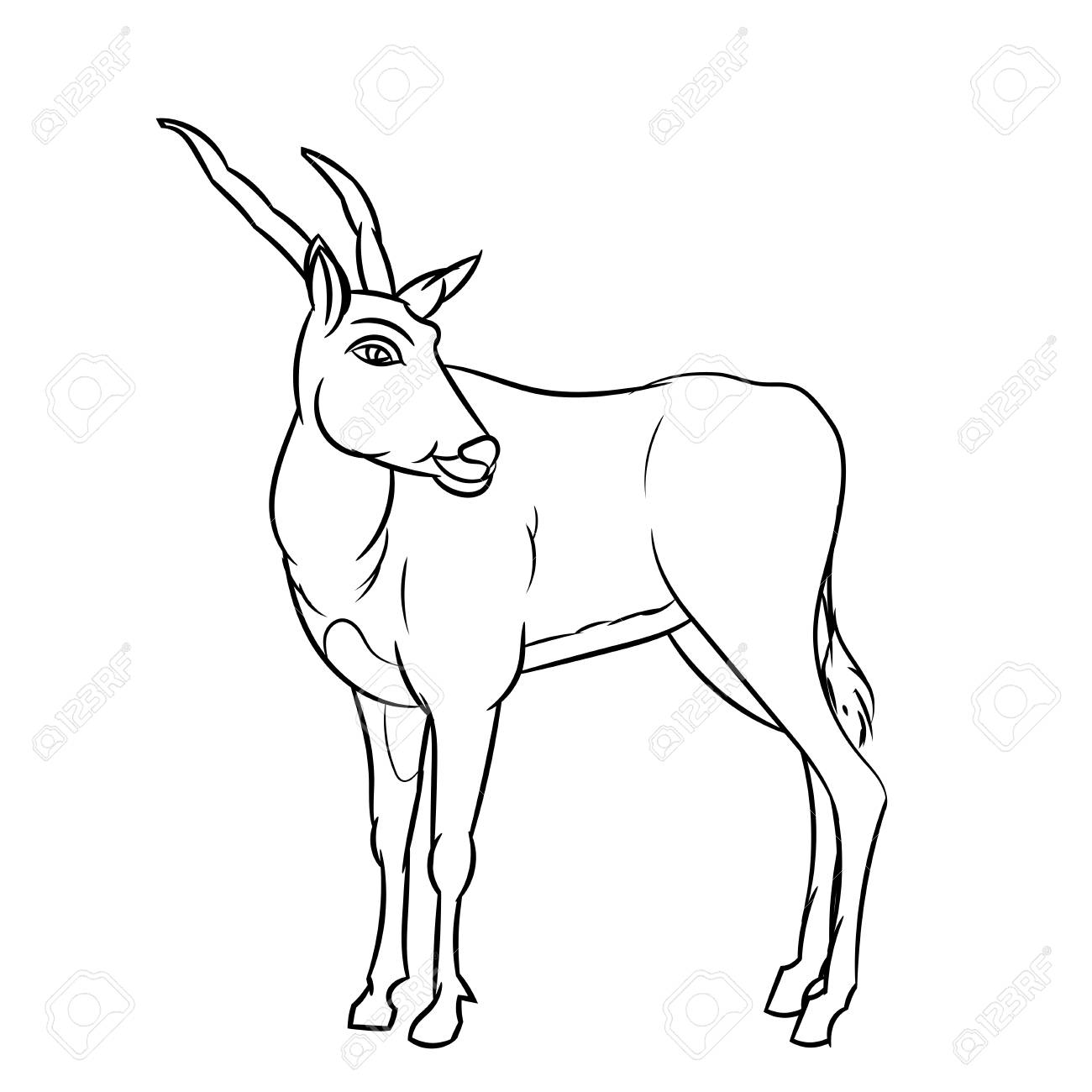 1300x1300 Hand Drawn Sketch Of Impala Deer Cartoon Isolated, Black And White