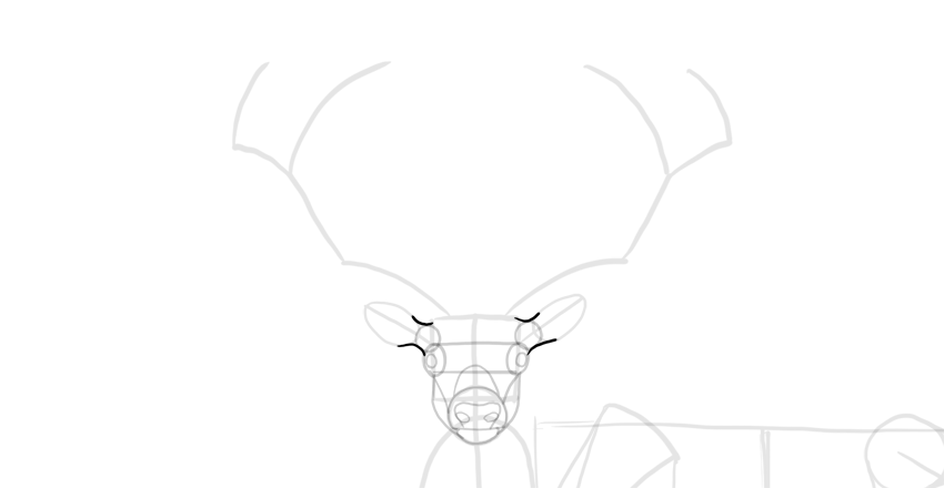 850x440 How To Draw A Deer Step By Step