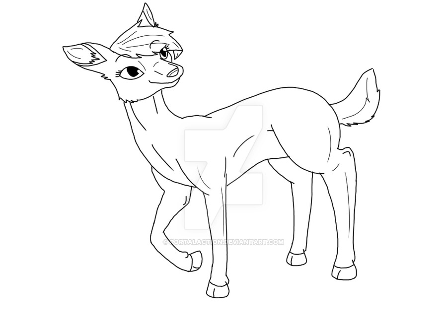 900x675 Female Deer Outlining By Portalaction
