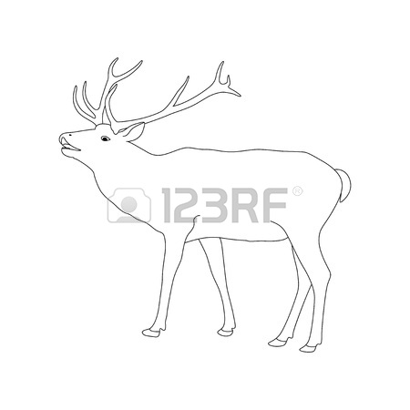 450x450 Coloring Book Page With Reindeer. Outline Drawing. Royalty Free