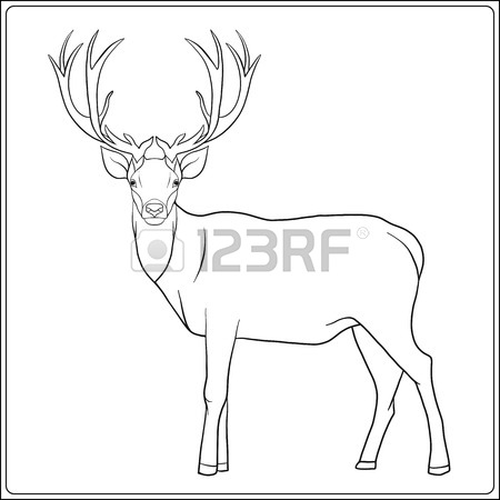 450x450 Coloring Page With Deer In Forest. Coloring Book For Adult