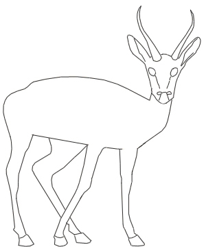 300x360 How To Draw A Gazelle