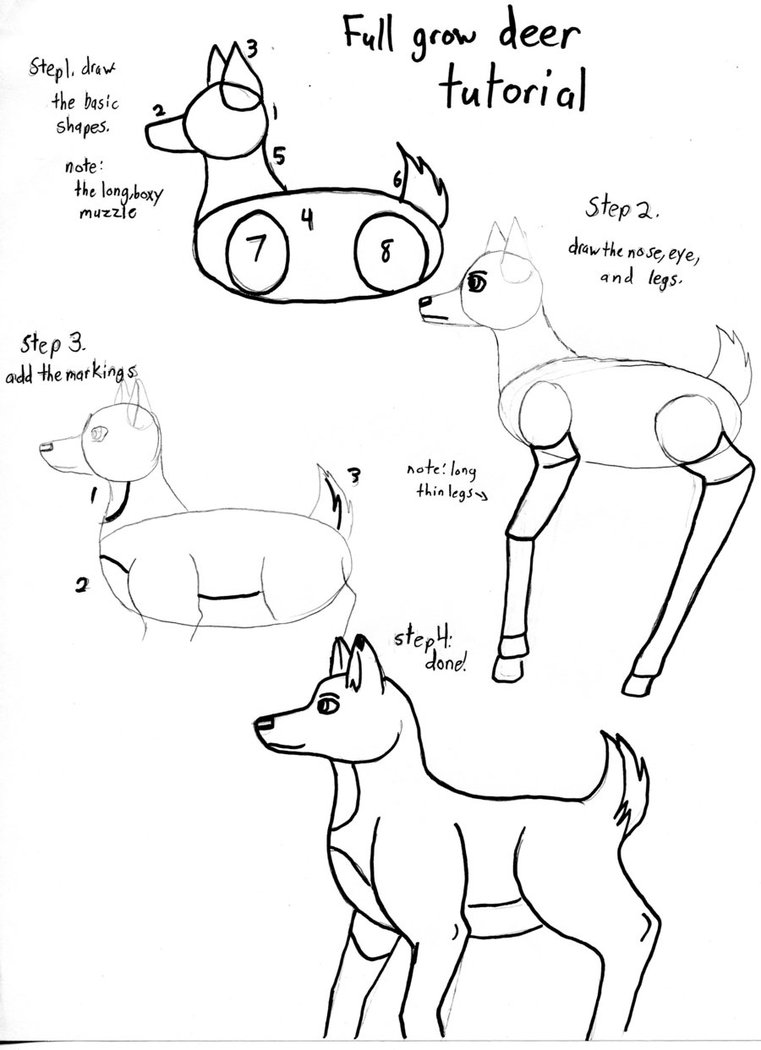 761x1050 Deer Tutorial By Twilights Embers