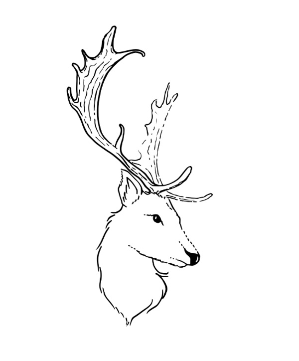 600x724 Design A Festive Poster With All The Trimmings