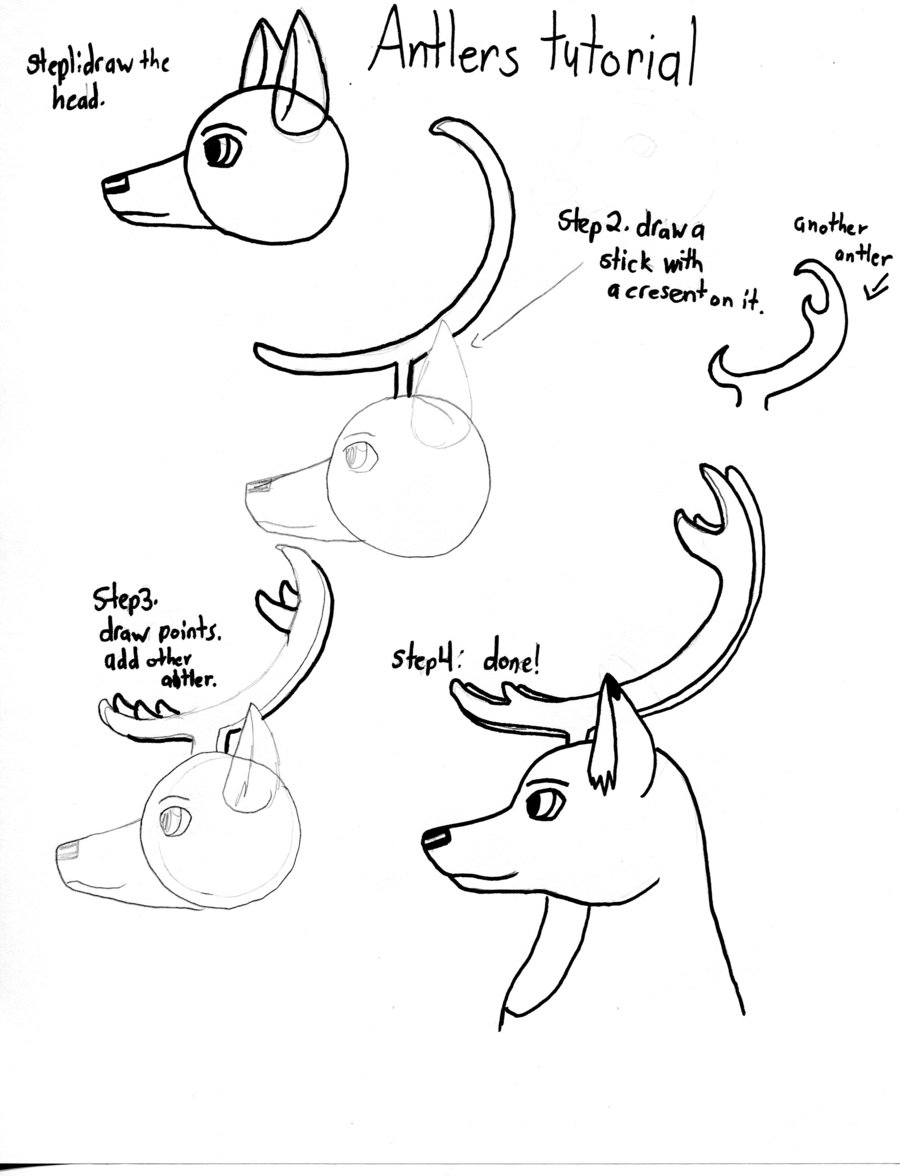 900x1176 Antlers Tutorial By Twilights Embers