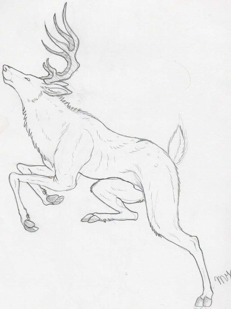 774x1032 Deer Sketch By Suenta Deathgod