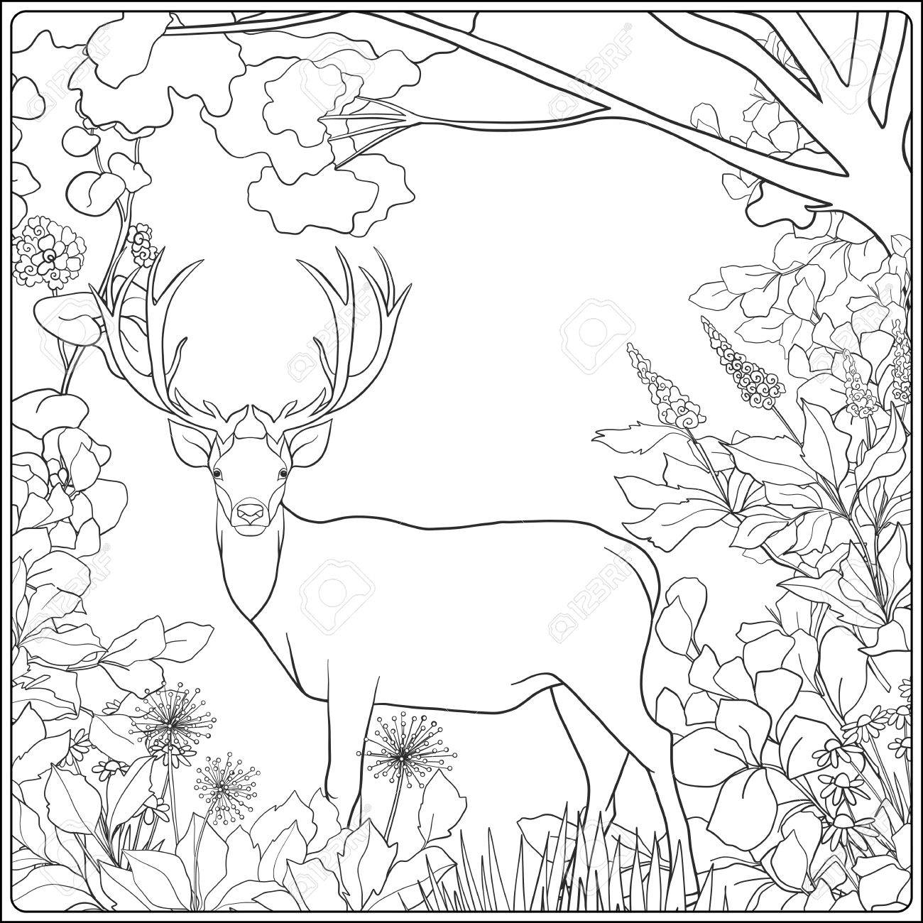 1300x1300 Coloring Page With Deer In Forest. Coloring Book For Adult