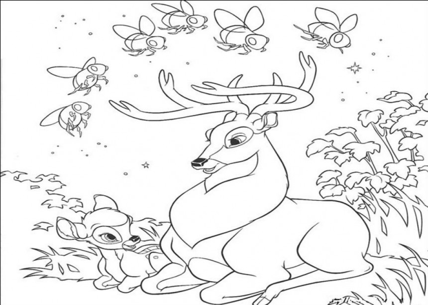 860x612 Deer Coloring Pages To Print