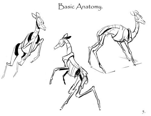 500x386 22 Best Deers Drawing Images On Draw Animals, Drawing