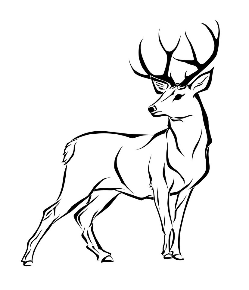 827x965 A Drawing Of A Deer