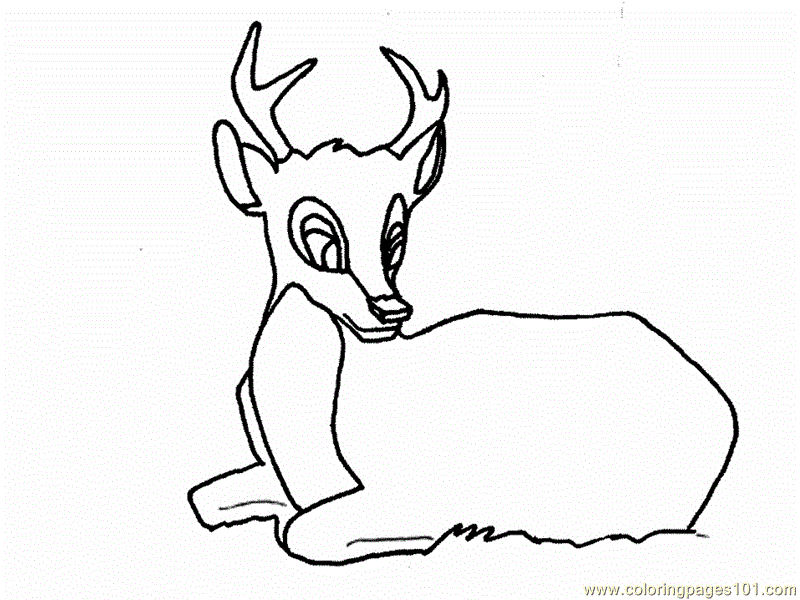 800x600 Deer Big Eye Coloring Page