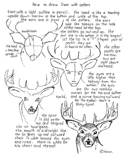 492x640 How To Draw A Buck Deer Printable Worksheet. Learn To Draw
