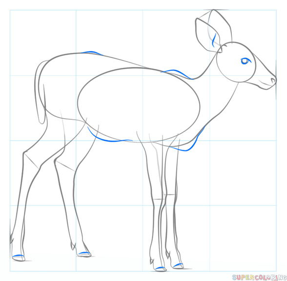 588x575 How To Draw A Fawn Step By Step Drawing Tutorials