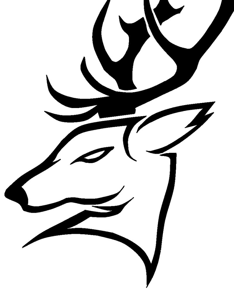 800x1018 Tribal Deer Tattoos Ideas And Designs