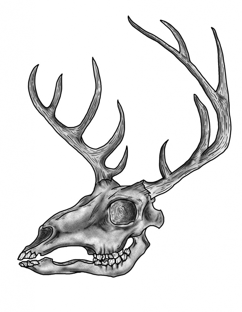 Deer Eyes Drawing at GetDrawings | Free download