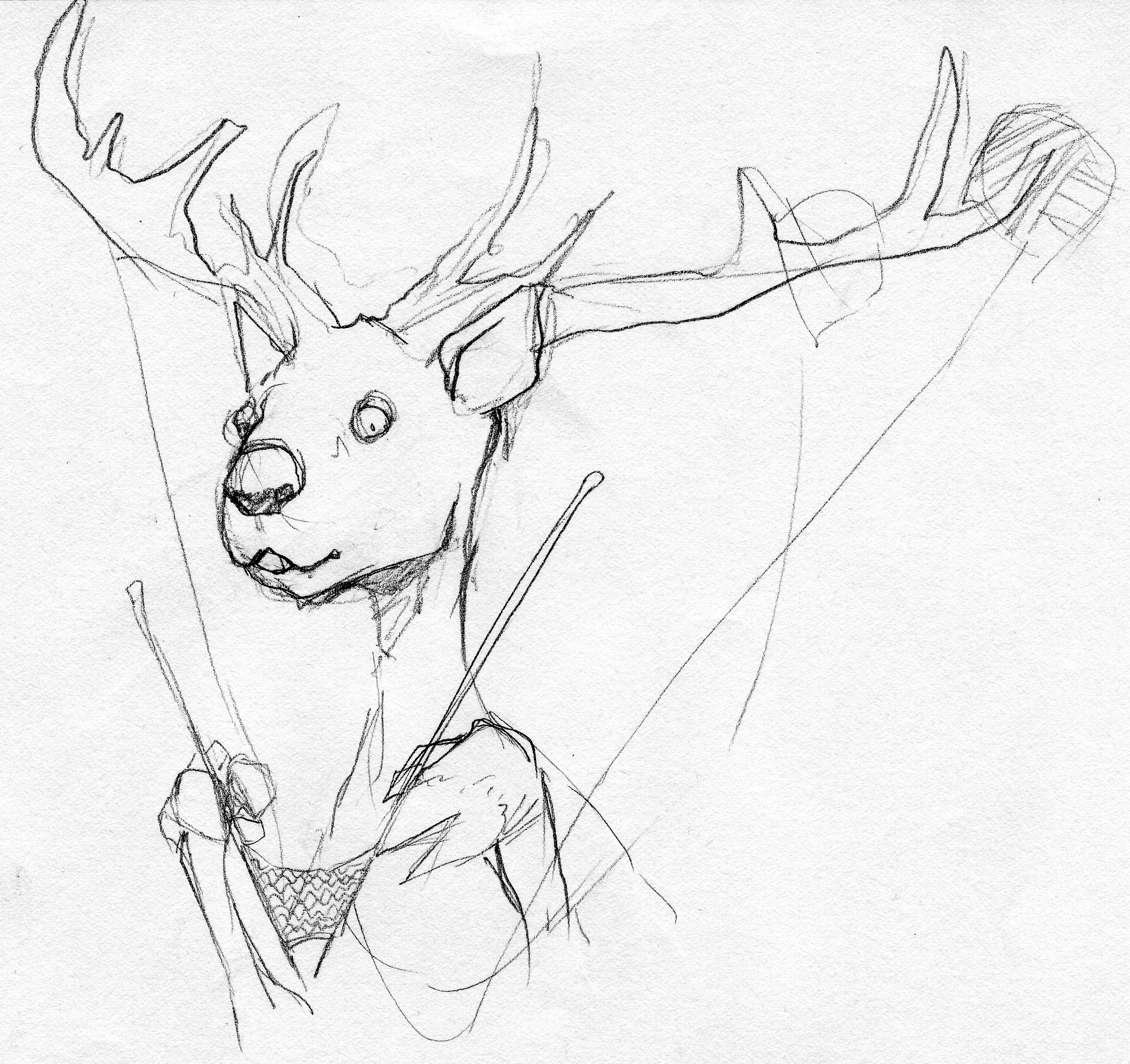 2015x1897 Tricot Animal Dessins