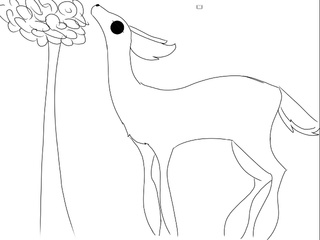 320x240 Doe A Deer, A Female Deer.