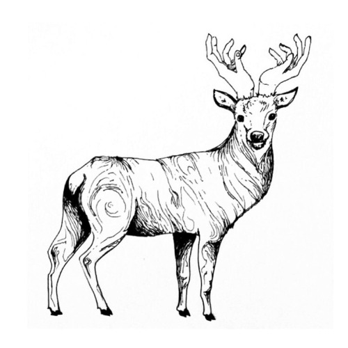 500x500 Deer Tattoo Drawing Tumblr