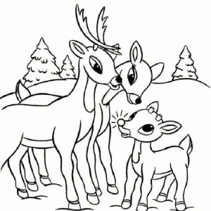 300x300 Copy Deer Face Coloring Pages Similarpages.co