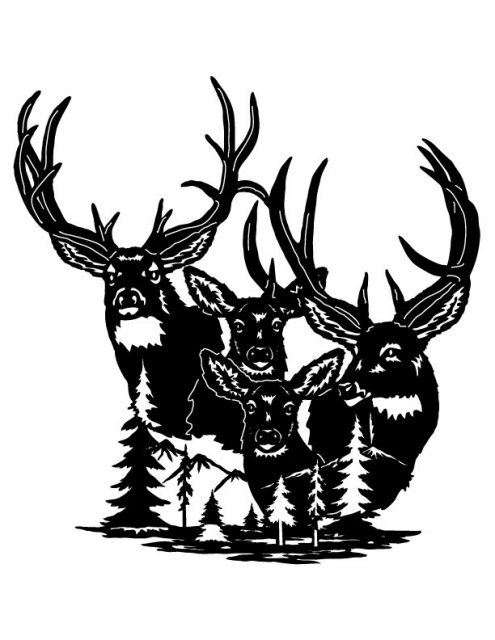 495x640 Deer Elk Moose
