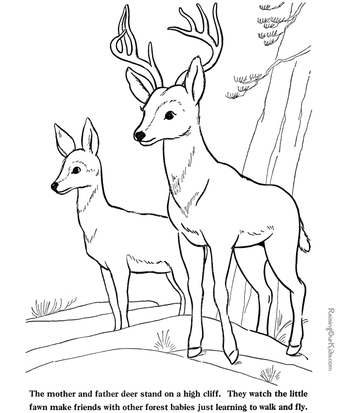 670x820 Doe Deer Mask Coloring Page White Tailed Deer Coloring Pages