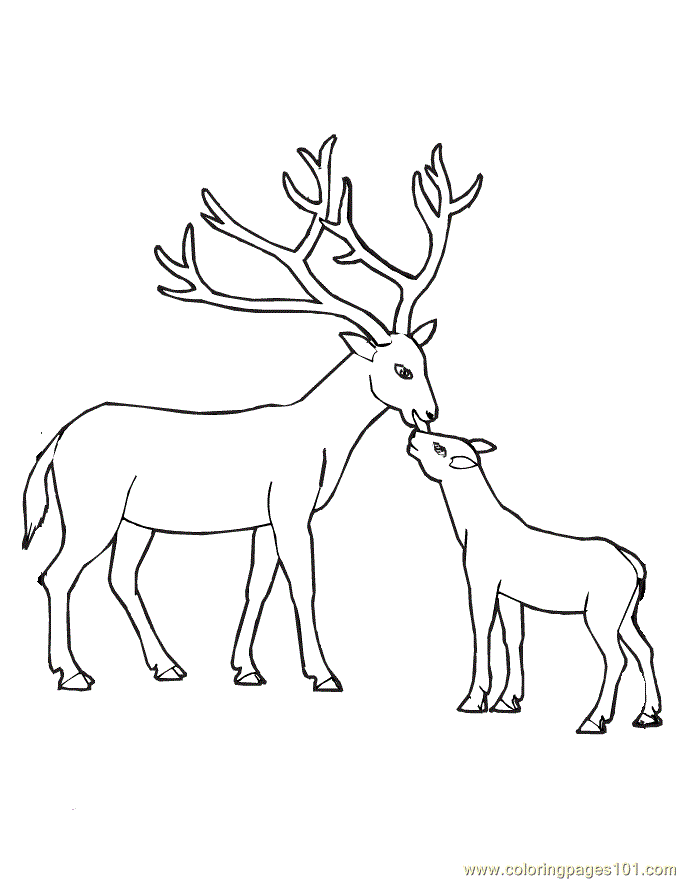 680x880 Free Printable Deer Coloring Pages For Kids