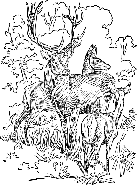 444x597 Outline Red Deer Clip Art