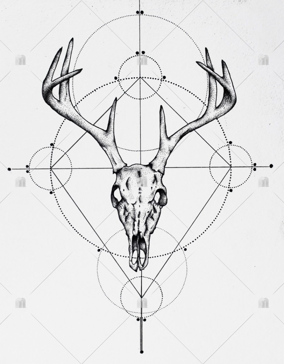 936x1200 Deer Skull Drawing, Deer, Skull, Drawing Art Print Sunshineestes