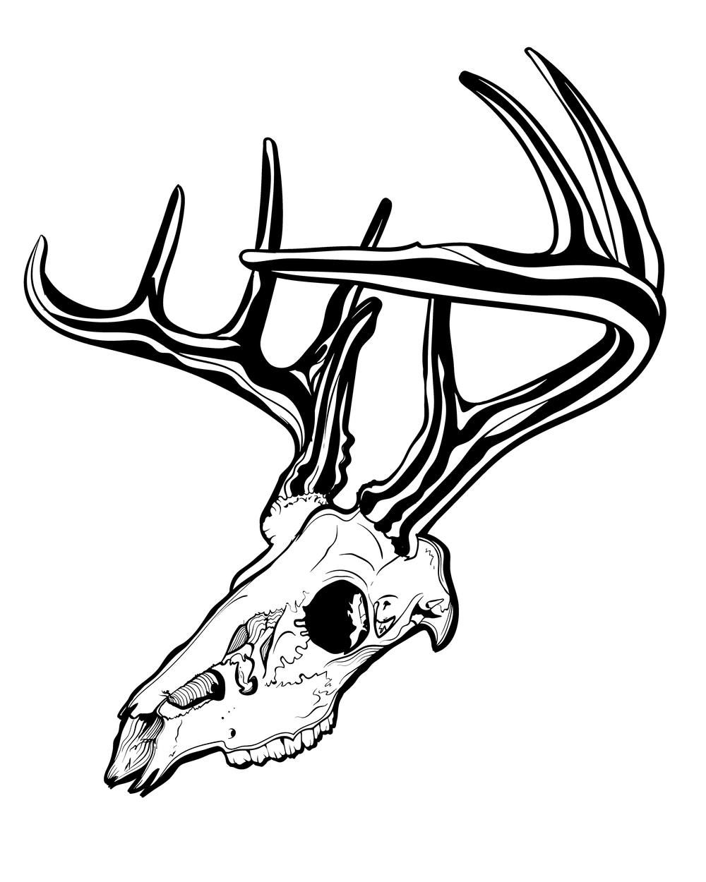 1000x1250 Deer Skull Cody Johnson