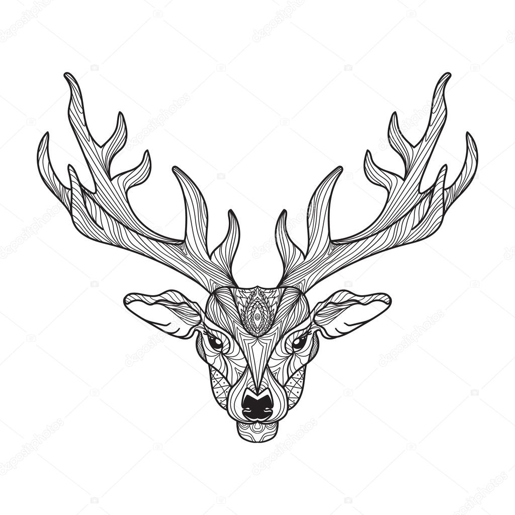 1024x1024 Deer Head With Horns Stock Vector Barsrsind