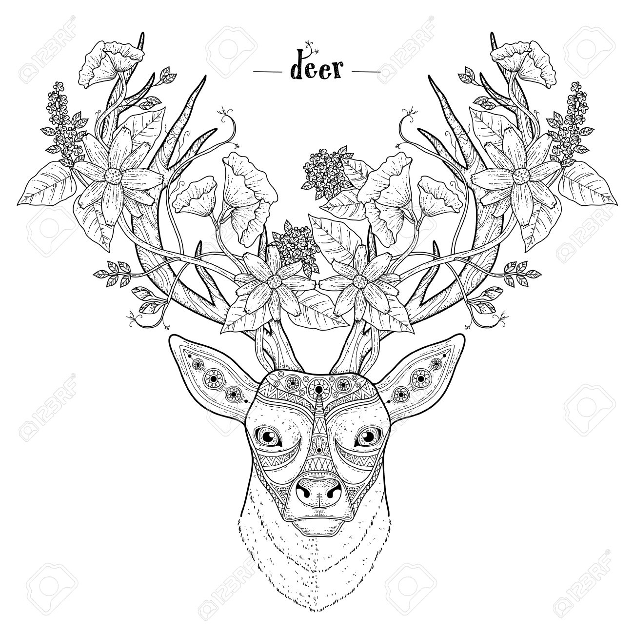 1300x1300 Elegant Deer Head Coloring Page In Exquisite Style Royalty Free