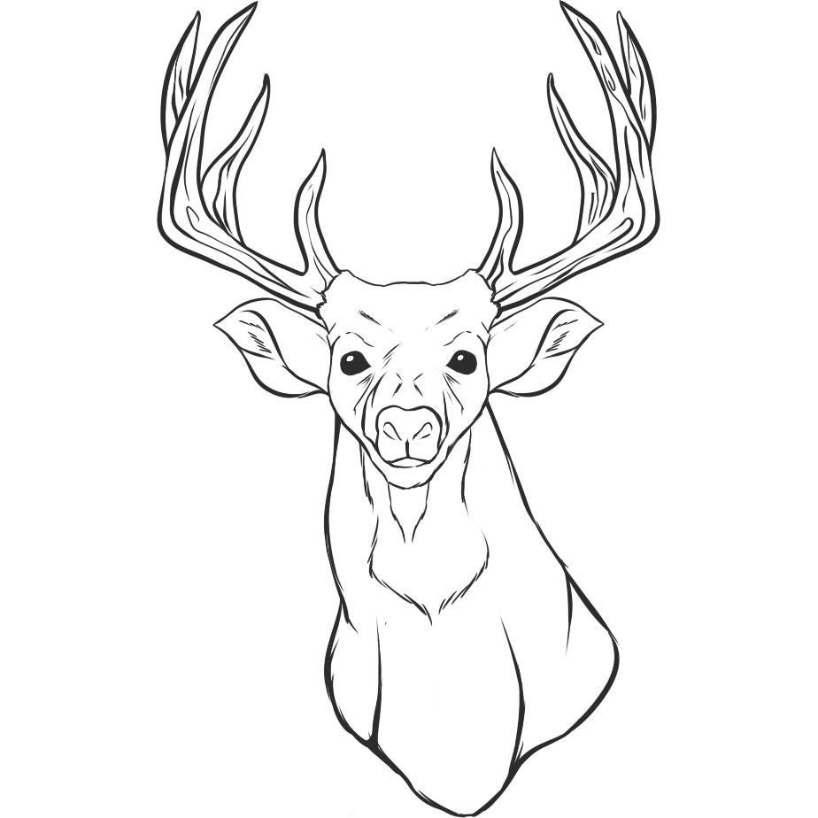 924x924 Large Deer Head Coloring Sheet Deer Head Drawings