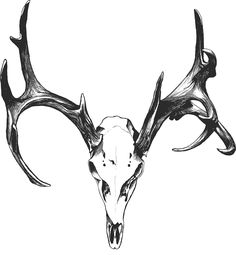 236x255 Deer Skull. Tattoo Idea. Tattoos Deer Skull