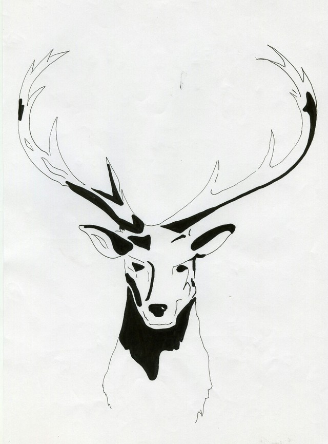 640x865 Deer James Tumblr
