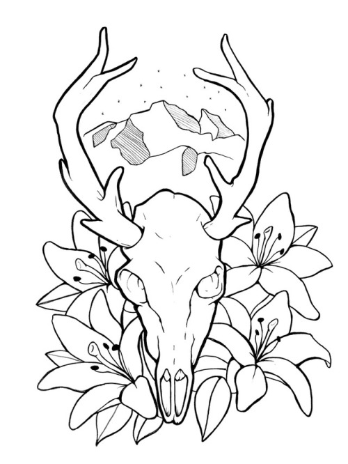 500x666 Deer Skull Drawing Tumblr