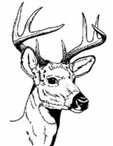 229x297 Line Drawings Of Animals Deer Line Art By Monster Maxx