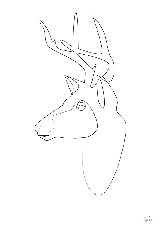 550x778 Amazing One Line Illustrations Made With A Single, Continuous